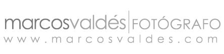 Logo Marcos Valdes